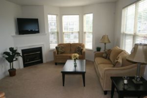 Heritage Pointe 3 Bedroom New Britain Living Room with Gas Fireplace in Chalfont, PA