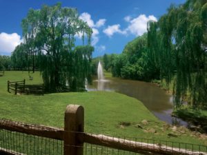 Heritage Orchard Hill Pet Park Pond with Fountain in Perkasie, PA