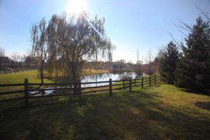 Heritage Orchard Hill Pet Park and Pond in Perkasie, PA